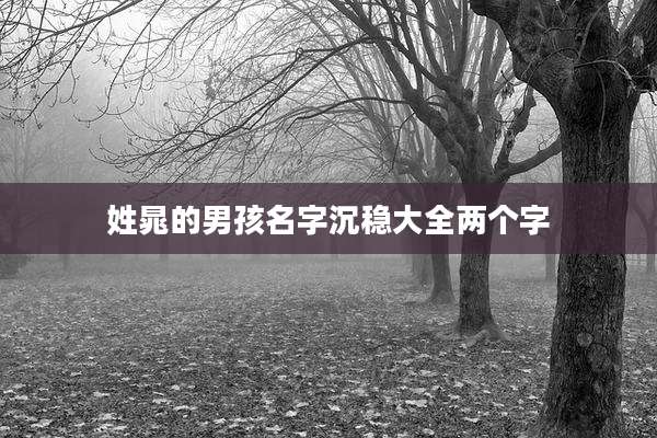 姓晁的男孩名字沉稳大全两个字