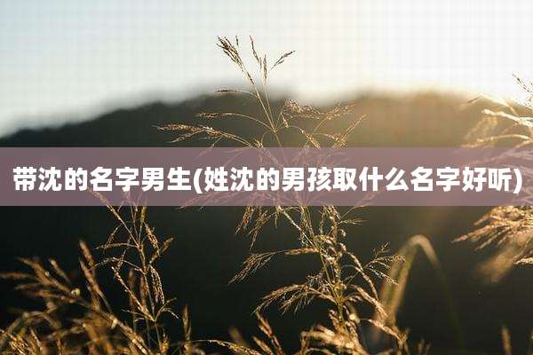 带沈的名字男生(姓沈的男孩取什么名字好听)