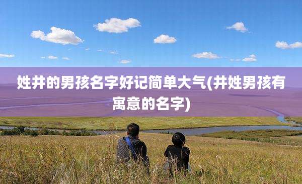 姓井的男孩名字好记简单大气(井姓男孩有寓意的名字)