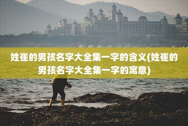 姓崔的男孩名字大全集一字的含义(姓崔的男孩名字大全集一字的寓意)