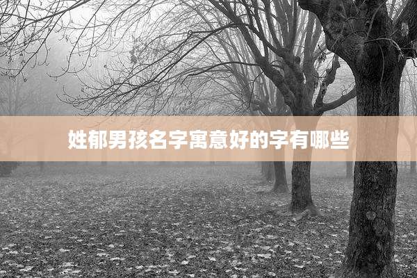 姓郁男孩名字寓意好的字有哪些
