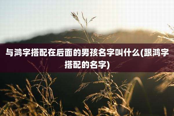 与鸿字搭配在后面的男孩名字叫什么(跟鸿字搭配的名字)