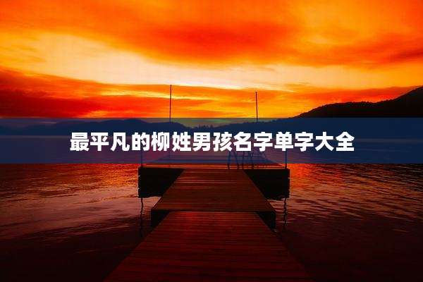 最平凡的柳姓男孩名字单字大全