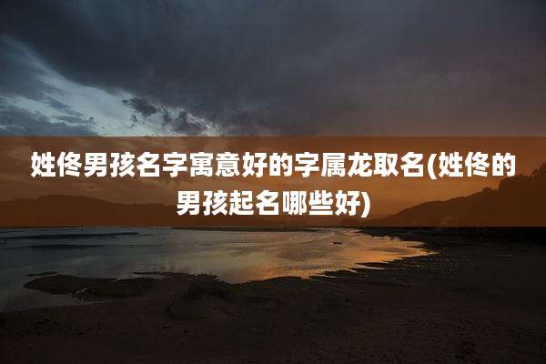 姓佟男孩名字寓意好的字属龙取名(姓佟的男孩起名哪些好)