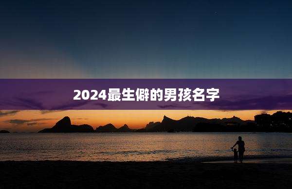 2024最生僻的男孩名字