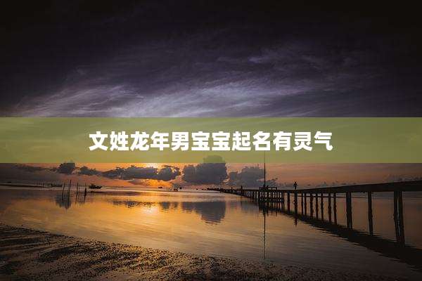 文姓龙年男宝宝起名有灵气