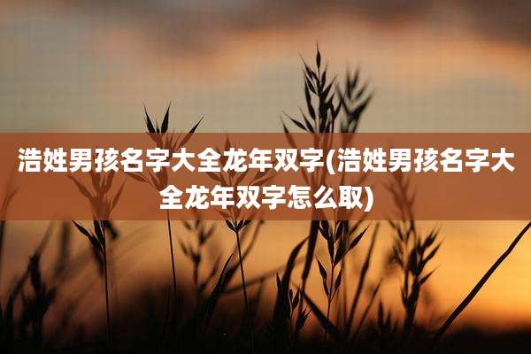 浩姓男孩名字大全龙年双字(浩姓男孩名字大全龙年双字怎么取)