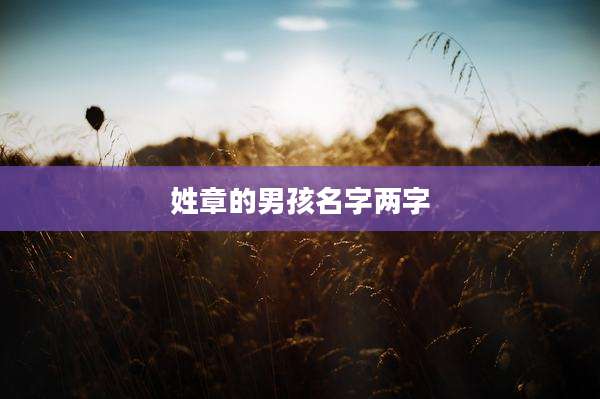 姓章的男孩名字两字
