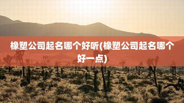 橡塑公司起名哪个好听(橡塑公司起名哪个好一点)