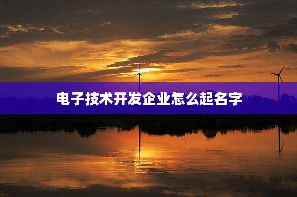 电子技术开发企业怎么起名字