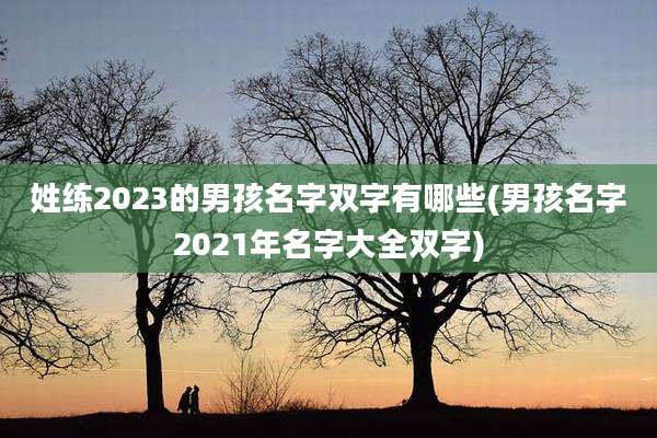 姓练2023的男孩名字双字有哪些(男孩名字2021年名字大全双字)