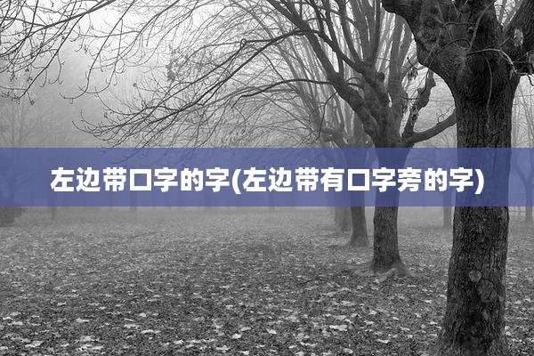 左边带口字的字(左边带有口字旁的字)