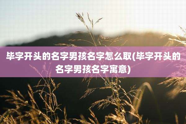 毕字开头的名字男孩名字怎么取(毕字开头的名字男孩名字寓意)