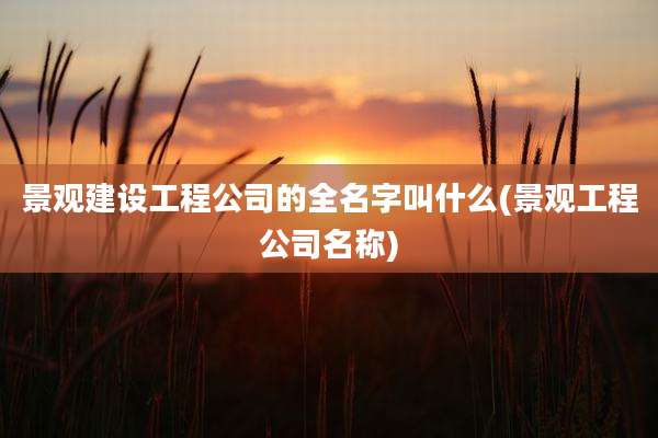 景观建设工程公司的全名字叫什么(景观工程公司名称)