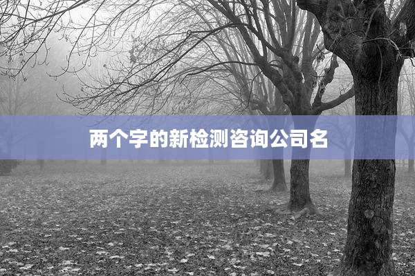 两个字的新检测咨询公司名