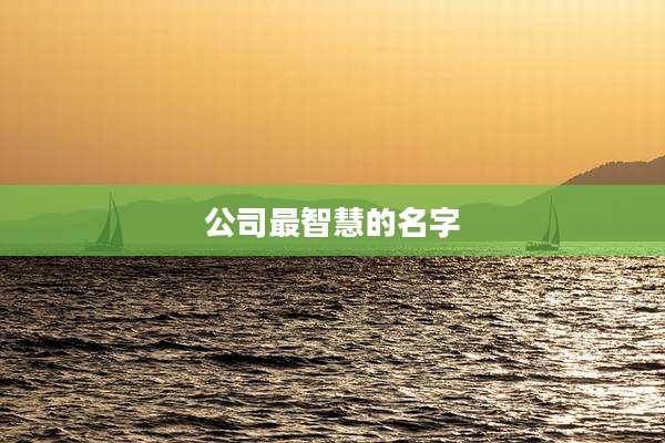 公司最智慧的名字