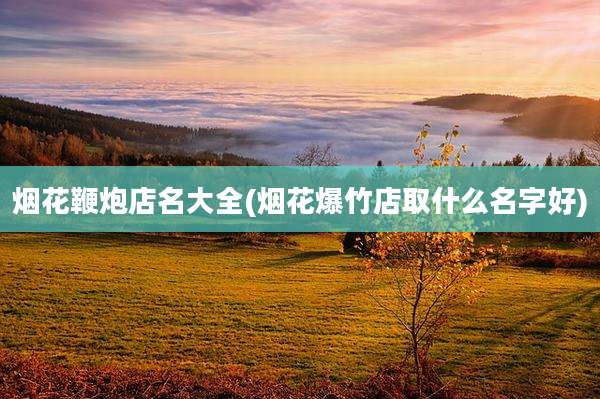 烟花鞭炮店名大全(烟花爆竹店取什么名字好)