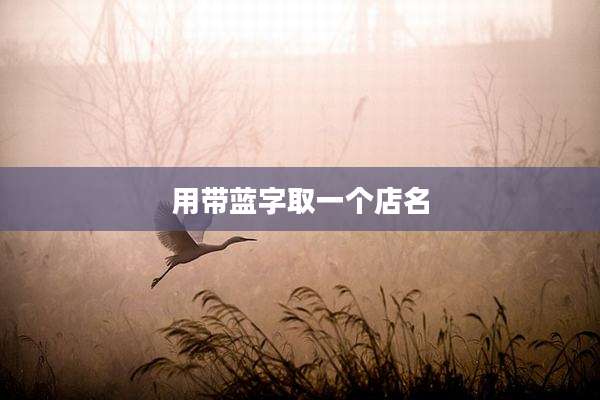 用带蓝字取一个店名