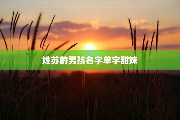 姓苏的男孩名字单字甜妹
