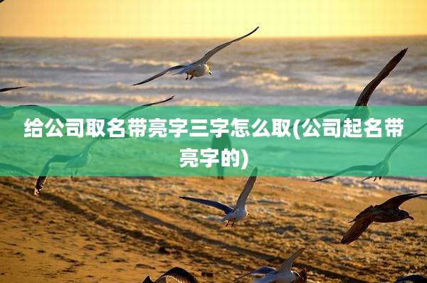给公司取名带亮字三字怎么取(公司起名带亮字的)