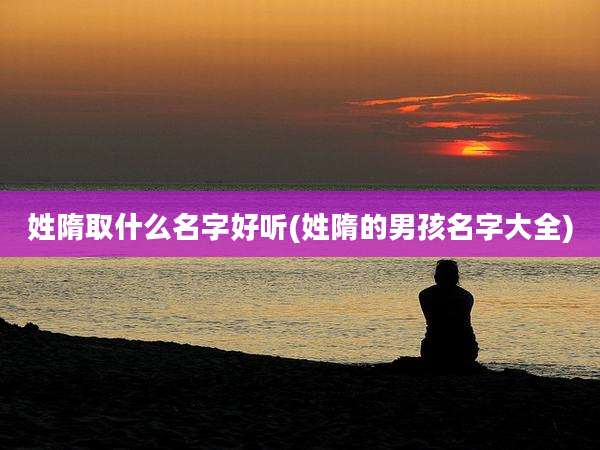姓隋取什么名字好听(姓隋的男孩名字大全)