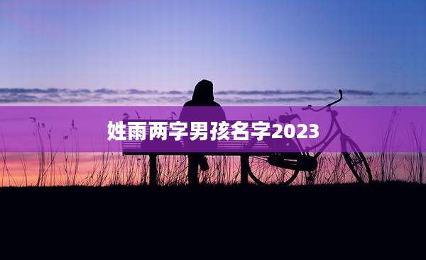 姓雨两字男孩名字2023