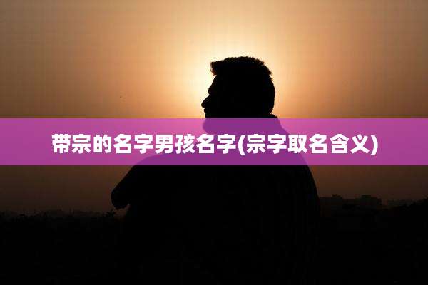 带宗的名字男孩名字(宗字取名含义)