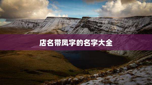 店名带凤字的名字大全