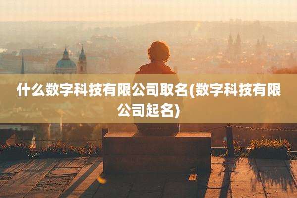 什么数字科技有限公司取名(数字科技有限公司起名)