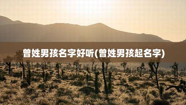 曾姓男孩名字好听(曾姓男孩起名字)