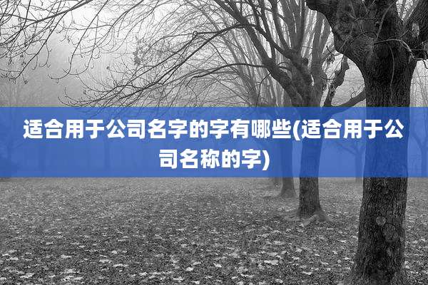 适合用于公司名字的字有哪些(适合用于公司名称的字)