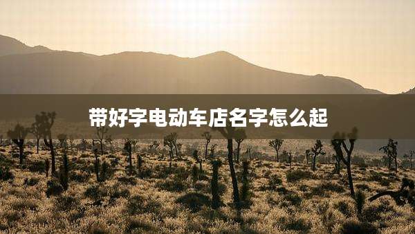 带好字电动车店名字怎么起