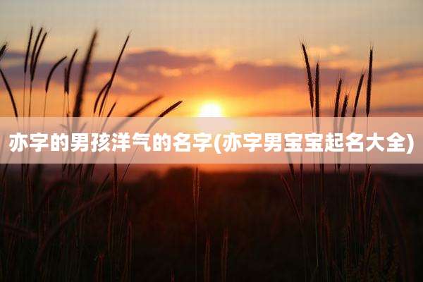 亦字的男孩洋气的名字(亦字男宝宝起名大全)