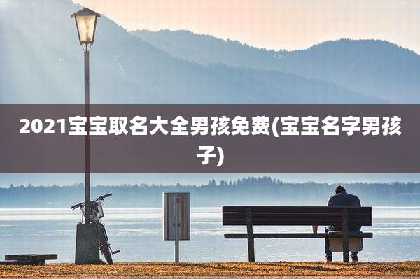 2021宝宝取名大全男孩免费(宝宝名字男孩子)