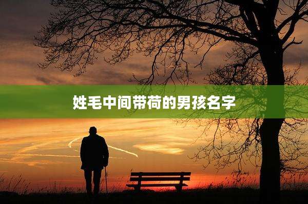姓毛中间带荷的男孩名字