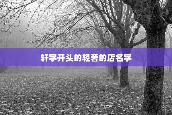 轩字开头的轻奢的店名字