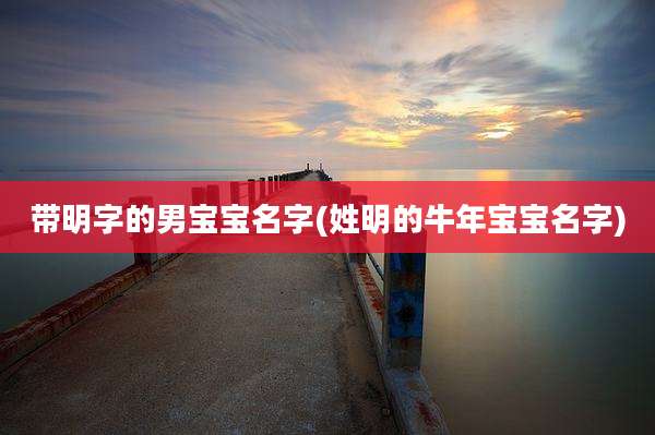 带明字的男宝宝名字(姓明的牛年宝宝名字)