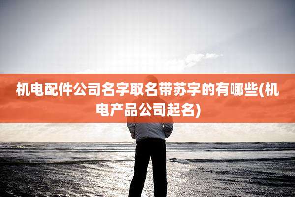 机电配件公司名字取名带苏字的有哪些(机电产品公司起名)
