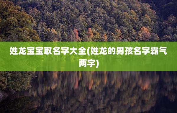 姓龙宝宝取名字大全(姓龙的男孩名字霸气两字)