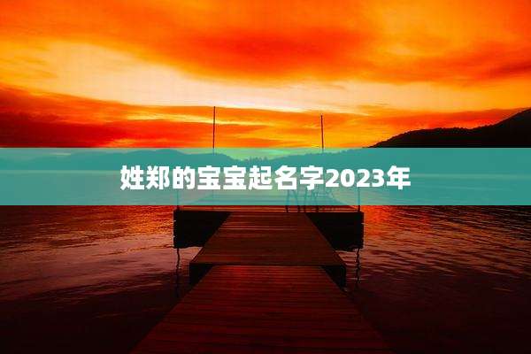 姓郑的宝宝起名字2023年
