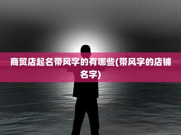 商贸店起名带风字的有哪些(带风字的店铺名字)