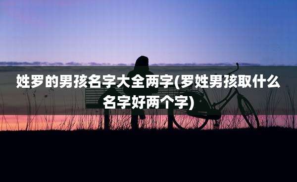 姓罗的男孩名字大全两字(罗姓男孩取什么名字好两个字)