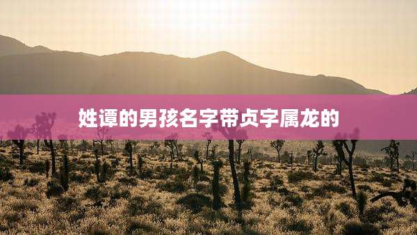 姓谭的男孩名字带贞字属龙的