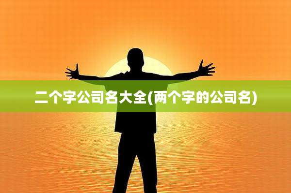 二个字公司名大全(两个字的公司名)