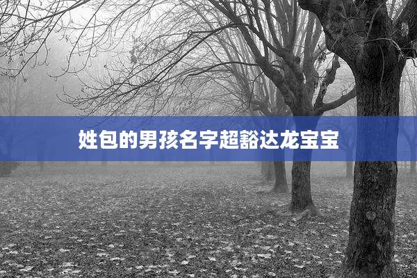 姓包的男孩名字超豁达龙宝宝