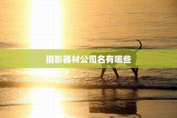 摄影器材公司名有哪些