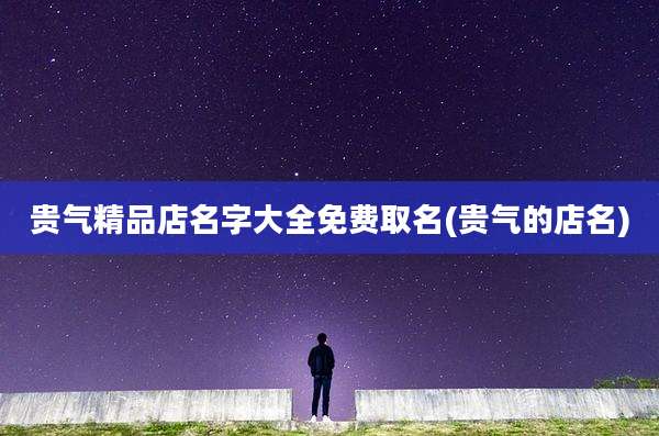 贵气精品店名字大全免费取名(贵气的店名)