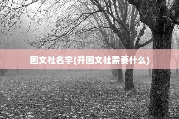 图文社名字(开图文社需要什么)