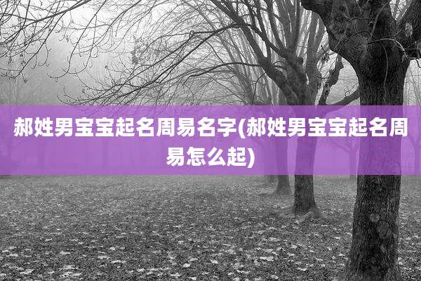 郝姓男宝宝起名周易名字(郝姓男宝宝起名周易怎么起)