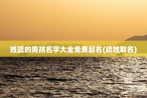 姓疏的男孩名字大全免费起名(疏姓取名)